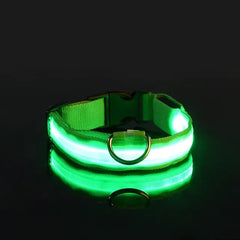 Flashing Glow Dog Collar - LED Safety for Night Walks