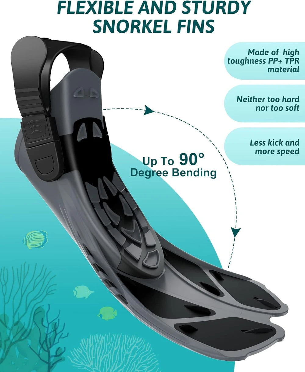 Viginsul Full Face Snorkel Set