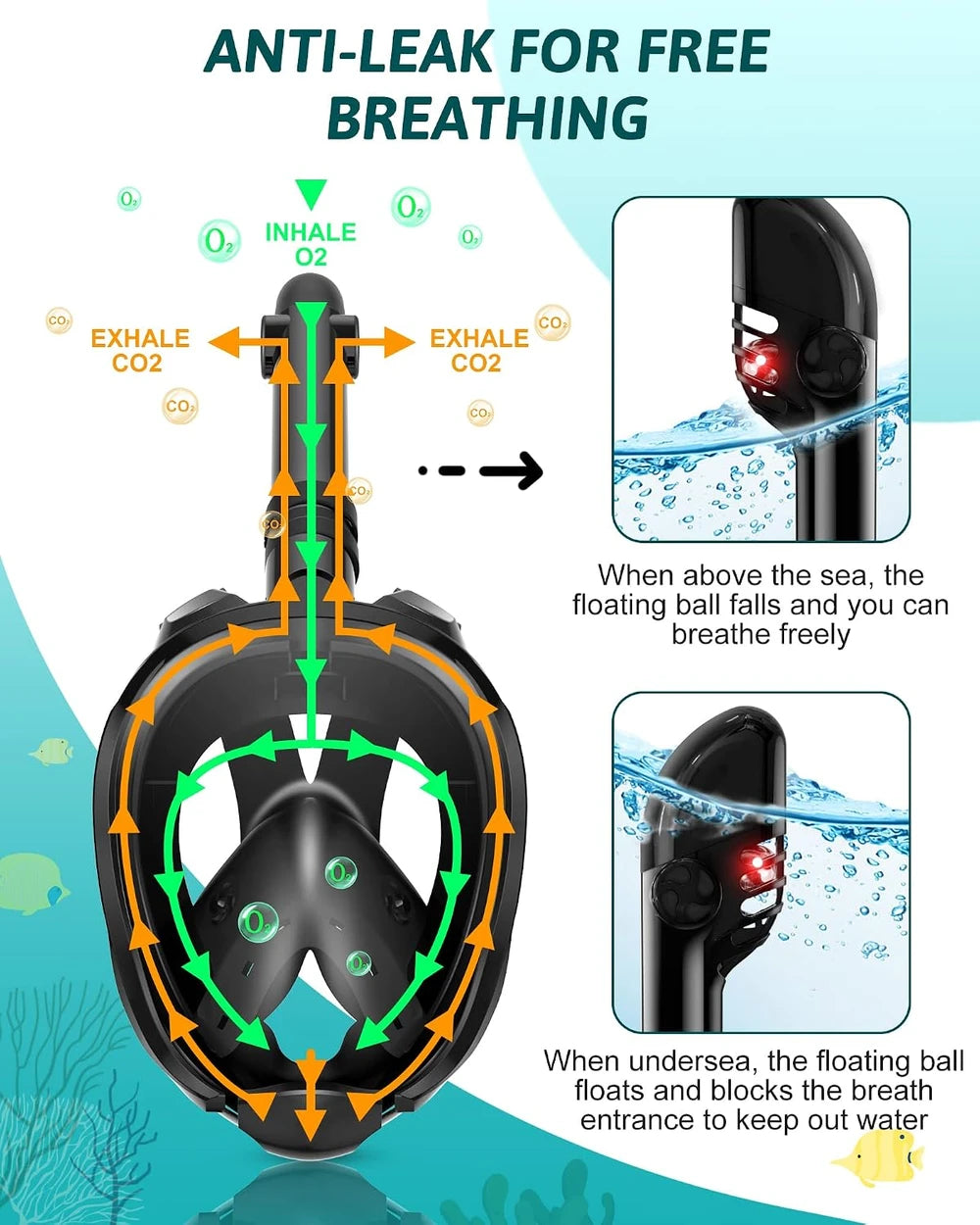 Viginsul Full Face Snorkel Set