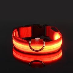 Flashing Glow Dog Collar - LED Safety for Night Walks