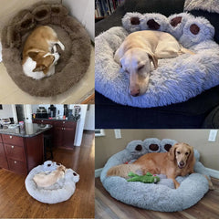 Pet Dog Sofa Beds - Luxurious Comfort for Your Furry Friend