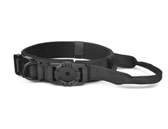 Metal Buckle Dog Collar - Durable for Training & Walking