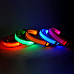 Flashing Glow Dog Collar - LED Safety for Night Walks