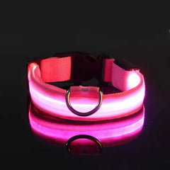 Flashing Glow Dog Collar - LED Safety for Night Walks