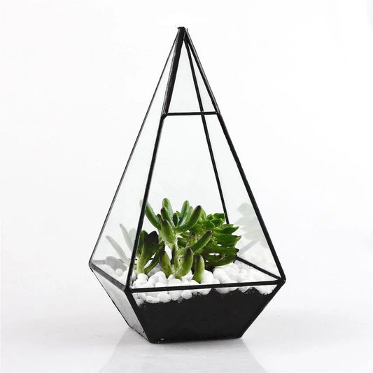 Pyramid Glass Terrarium - Modern Decorative Vase