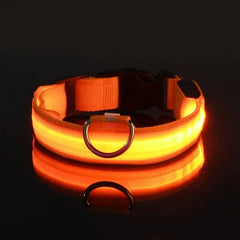 Flashing Glow Dog Collar - LED Safety for Night Walks