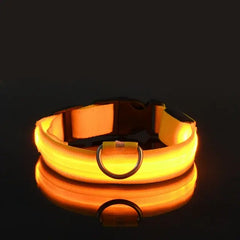 Flashing Glow Dog Collar - LED Safety for Night Walks