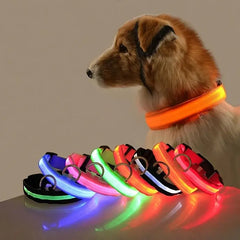 Flashing Glow Dog Collar - LED Safety for Night Walks